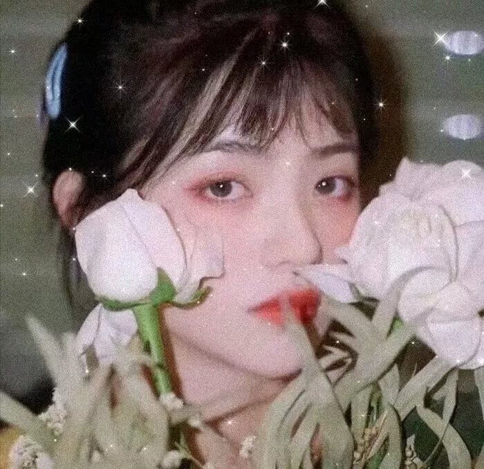 在我的尸体之上